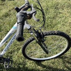 Two Roadmaster Mountain Bikes 