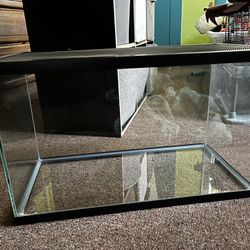 Glass Cage/Tank