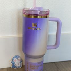 LIMITED WICKED Stanley 40oz Stainless Steel Quencher Tumbler Glinda For Good