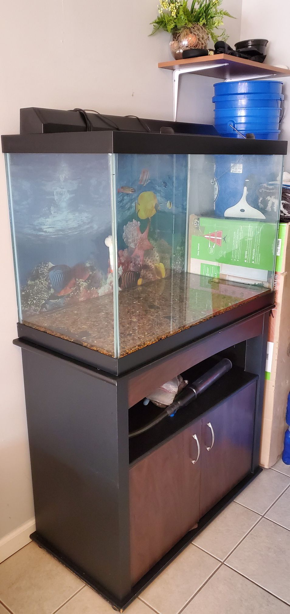 Fish tank 65 gallon and stand