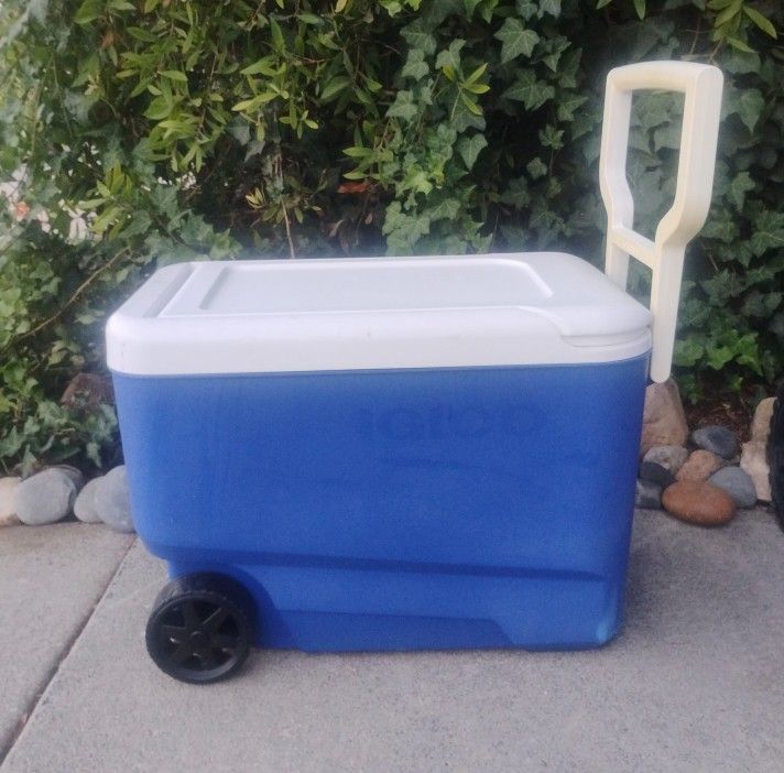 Ice Chest Cooler on Wheels Holds 53 Cans 38 Quarts Excellent Condition