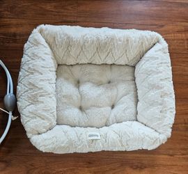FREE!!! Cat/Dog Bed