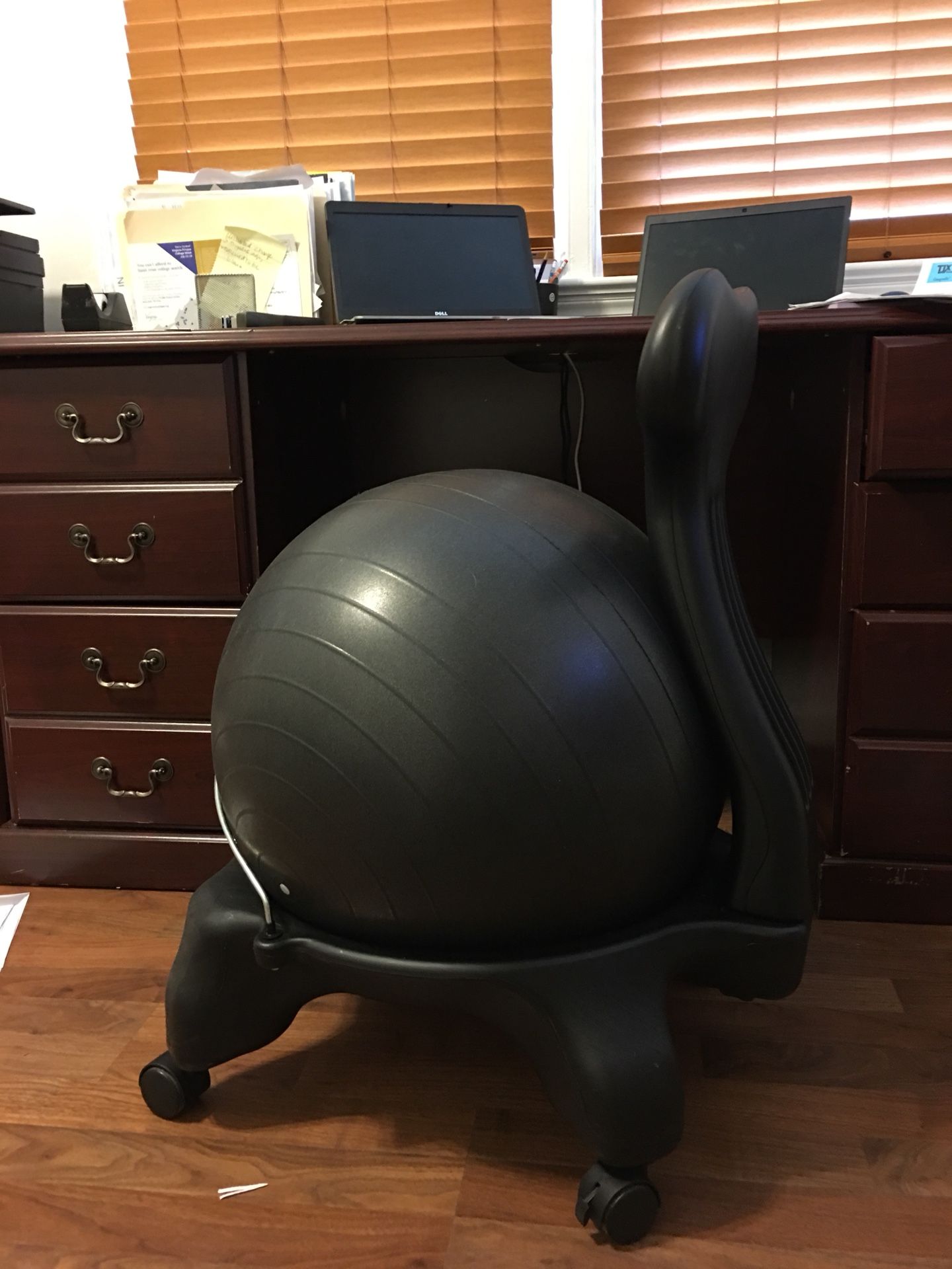 Gaian balance ball chair