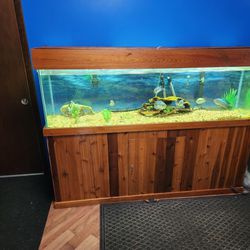 125 Gallon Aquarium 