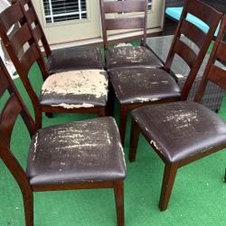 Dining Chairs 