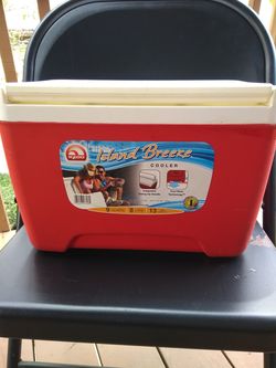 Igloo 9 quart cooler holds 13 cans