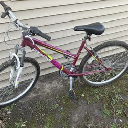 Women’s 26 inch roadmaster bike please read description