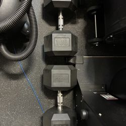 Rogue Dumbbell  (100 lbs pair)