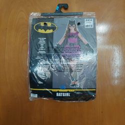 Batgirl Halloween Costume 