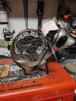 Raccoon Fan Works Good