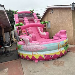 flamingo water slide