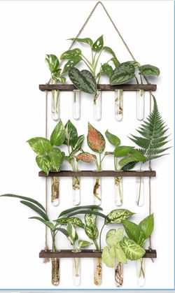 Propagation station