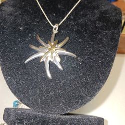 925 2 Tone  Star Design Pendant W/ 925 Chain