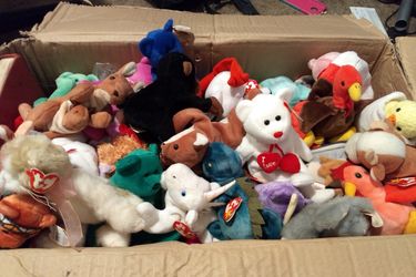 Beanie baby mystery box!