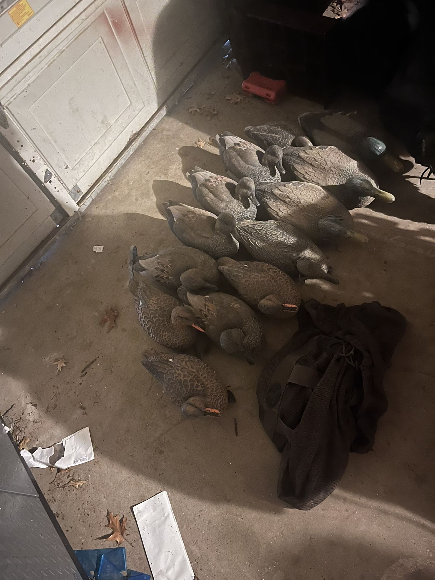 Duck Decoys 
