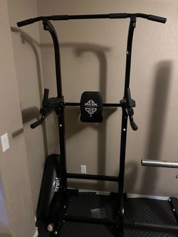 Pull up and dip station
