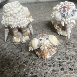 Handmade Shell Crafts For Decor & Home 