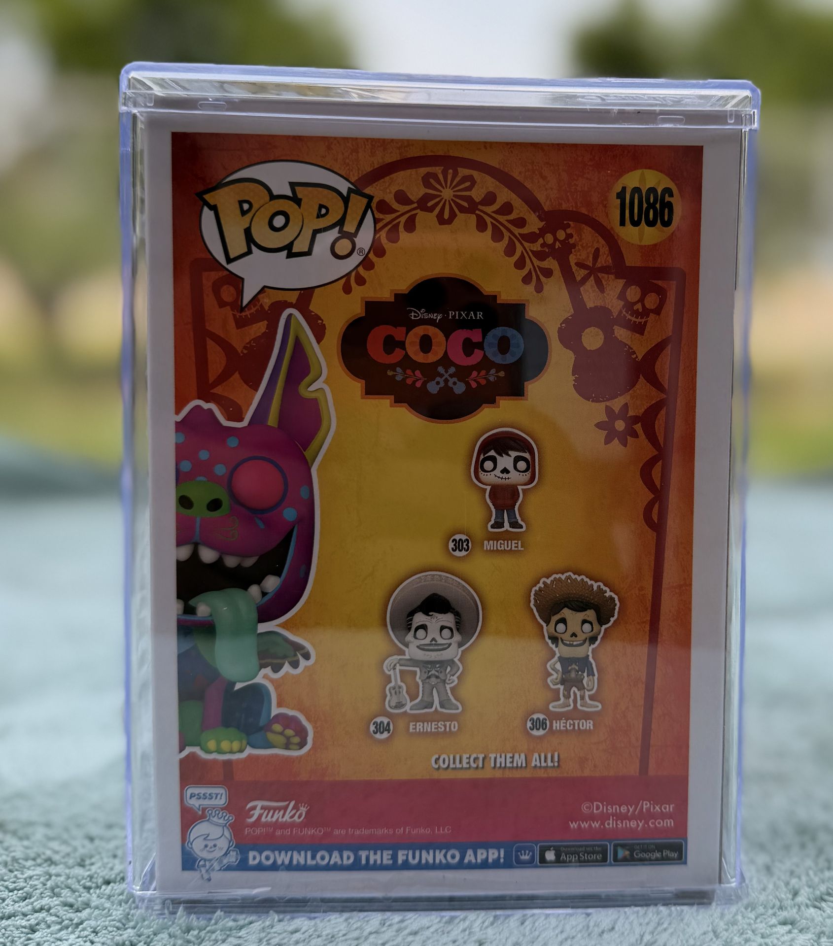 Alebrije dando (coco)