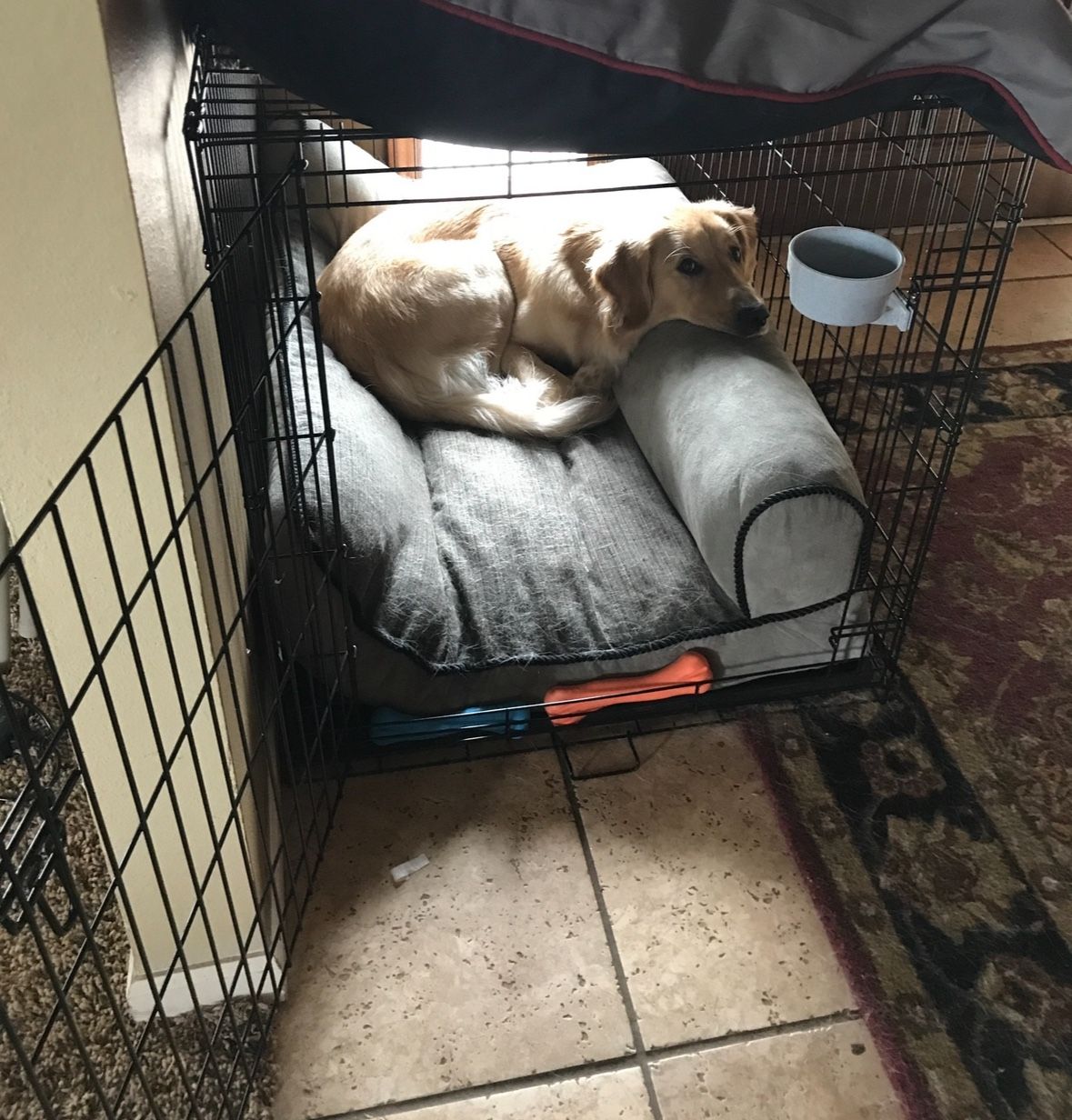 XL Collapsible Dog Crate/Kennel