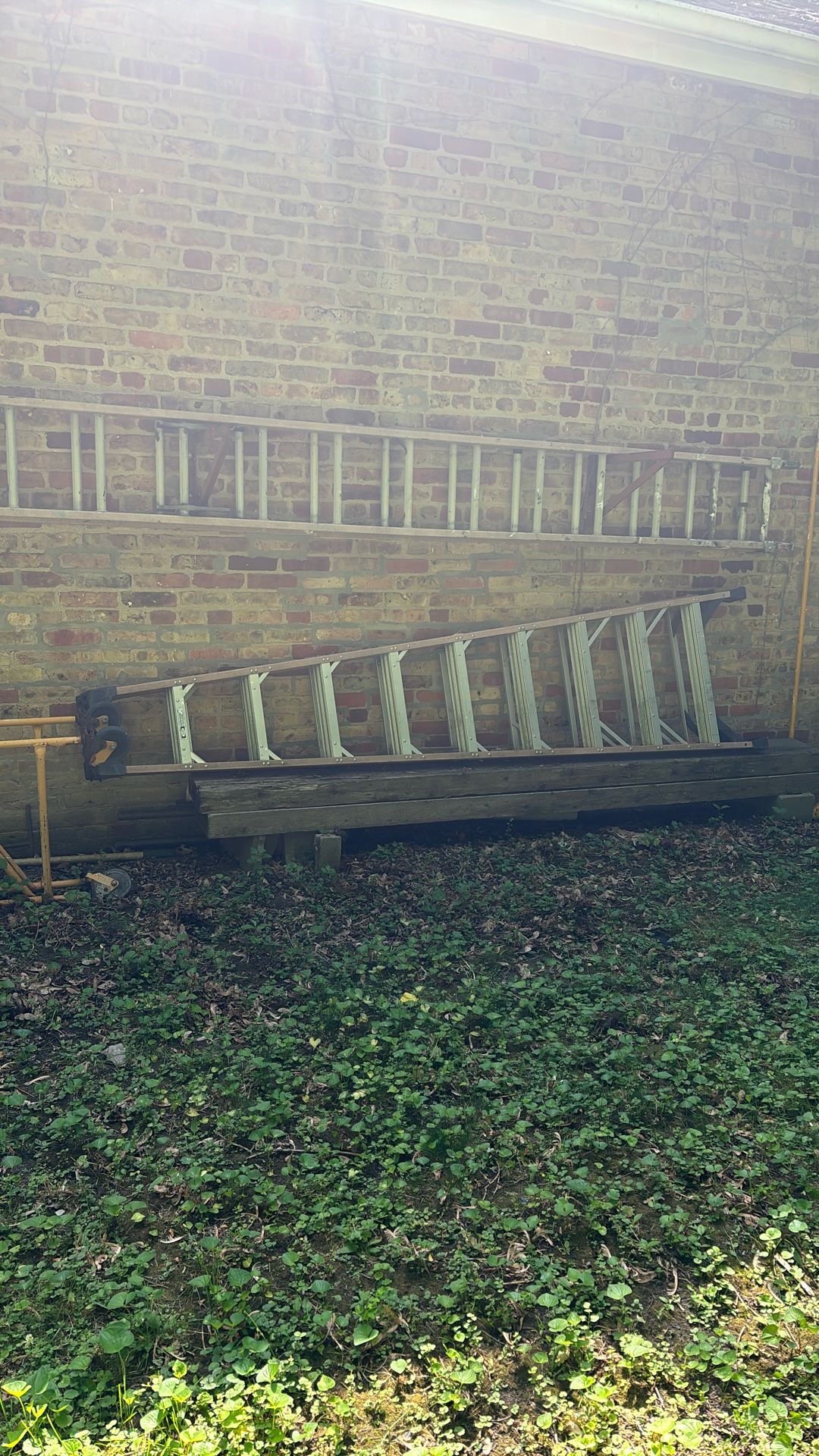 Ladders For Sale