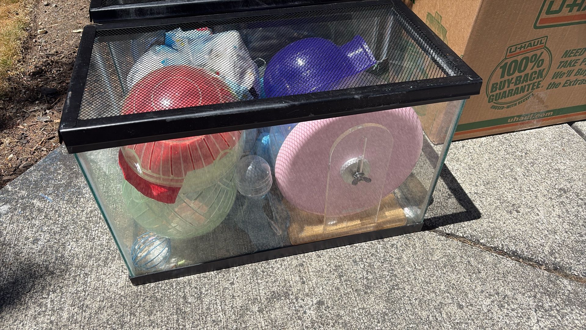 Free Hamster Cages And Balls , Wheel And Feeder And Bedding.