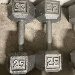 25lbs Dumbbell Set