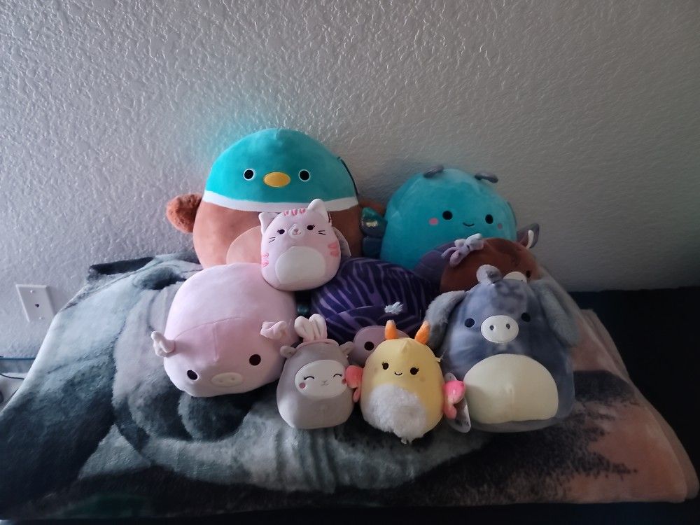 8 Squishmallow For Sale
