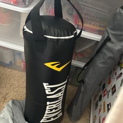 Punching Bag Everlast