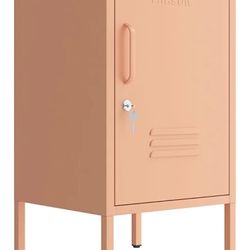 Lockable Single Door Metal Cabinet/Locker