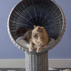 The Refined Feline Kitty Ball Bed — Faux Rattan Cat Bed 