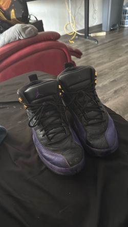Jordan 12s purple and black