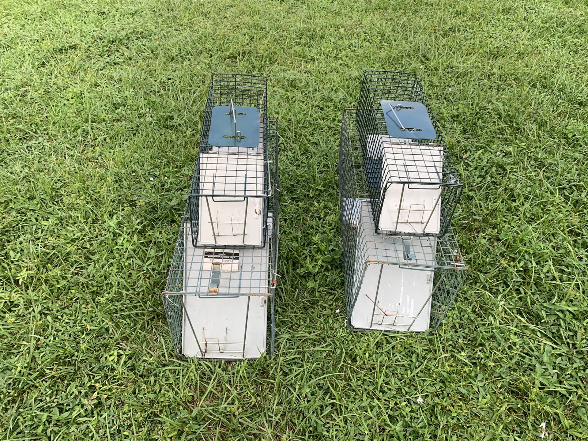 Small Animal Traps