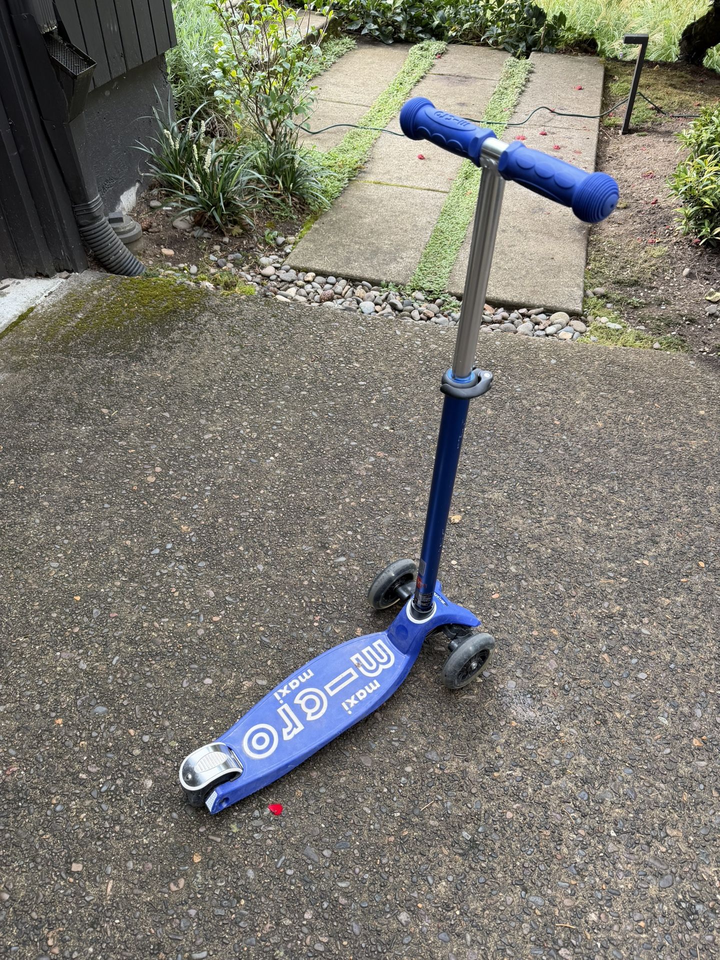 Micro Kick board Mini Deluxe With LED Wheels