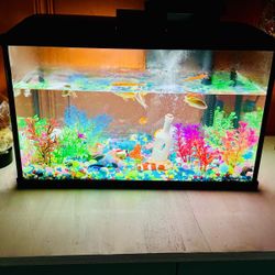 10 G. Fish Tank.