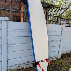 Surfboard Wavestorm Funboard 8' Beginner 