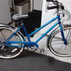 Old-school Schwinn 26 All Original "26"
