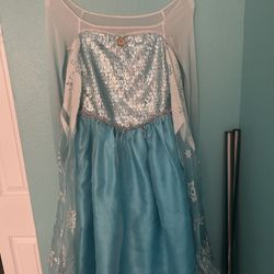 **Elsa Costume And Cape**