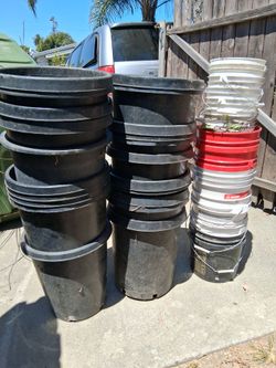 Plant pots 5 gallons containers 5 and 2 gallons good condition  south la 90043 see peice down below