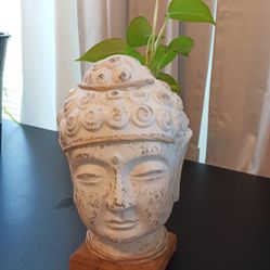 He/She/They Plaster Head With Ivy Plant