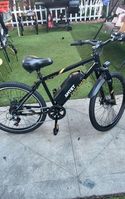 Electric bike