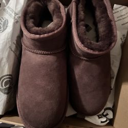 Ugg Boots NEW