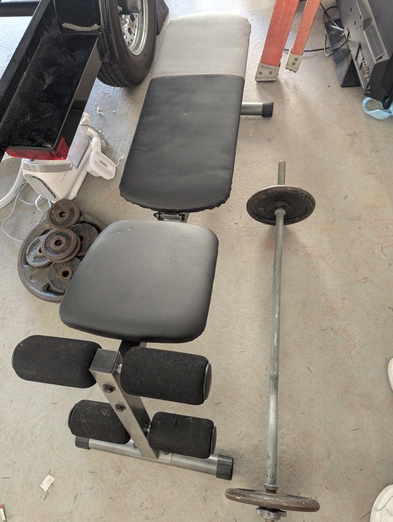 Curl Bar, Weights, Bench