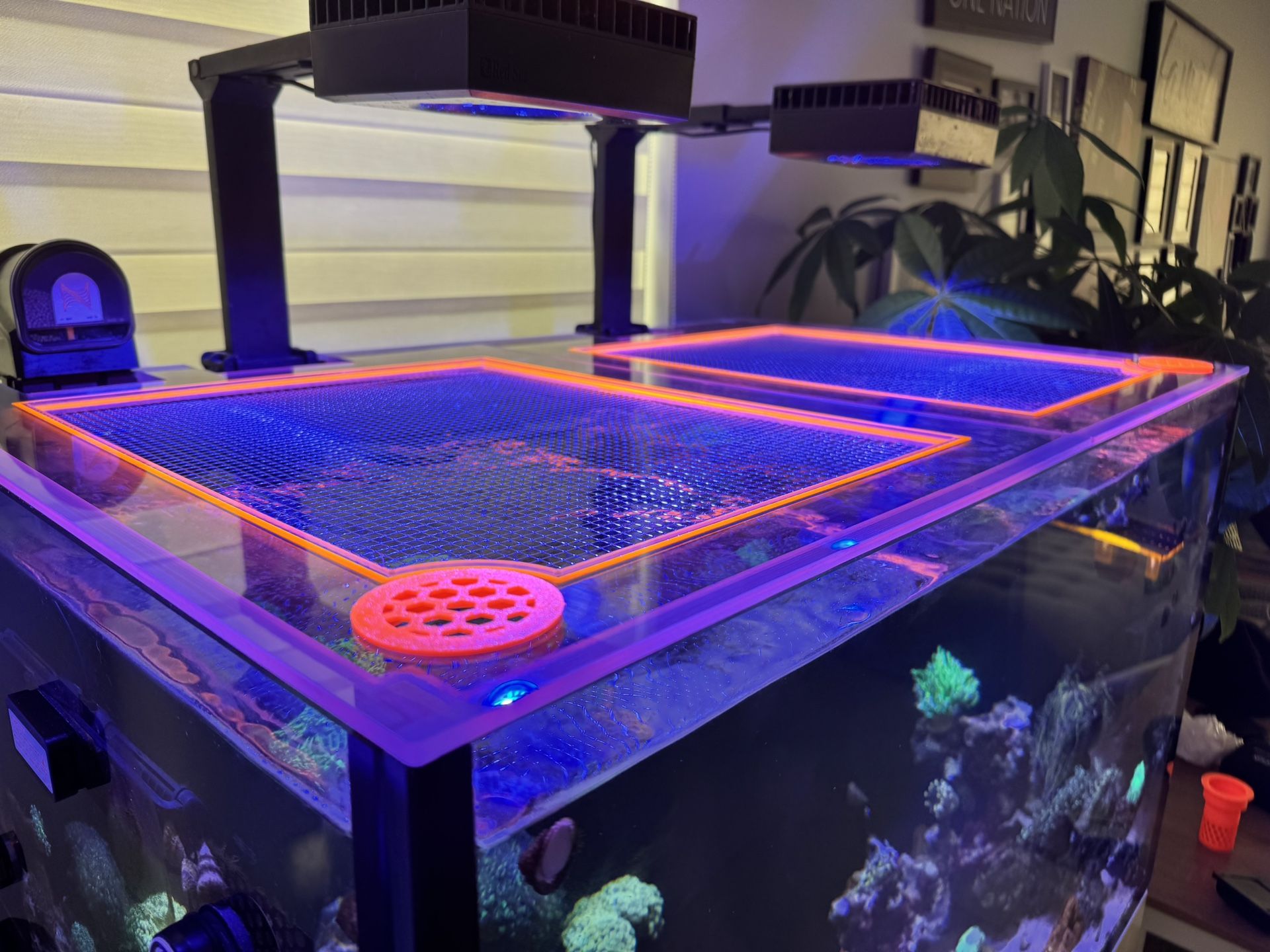 Custom Polycarbonate Aquarium Lids β Any Tank, Any Size