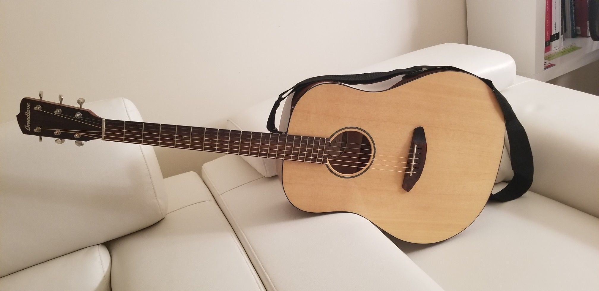 Acoustic guitar