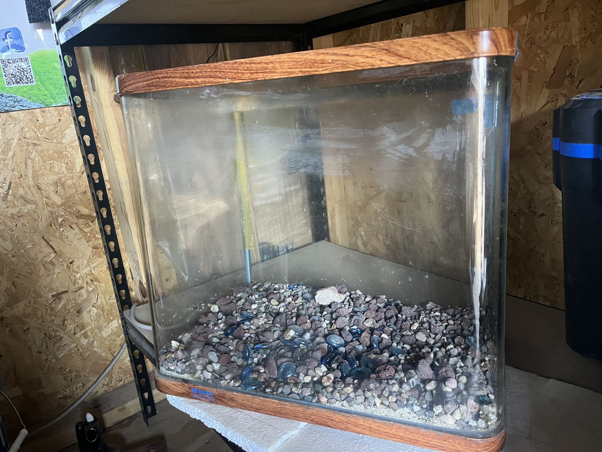 19Gallon Tank (curved Edge) 