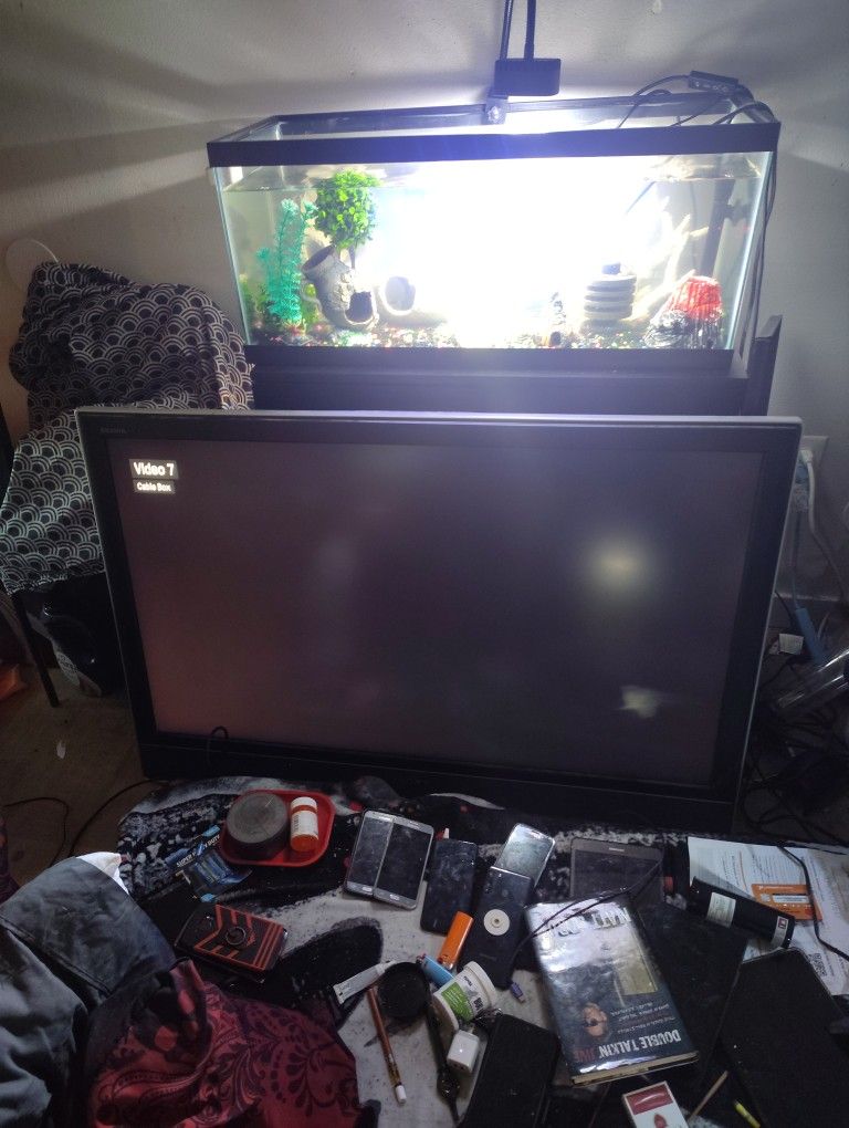 Sony 50 Inch flat TV With Roku