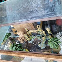 75 Gallon Oceanic Fish Tank. 