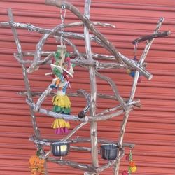 Tall African Grey / Amazon Parrot Perch Tree - The Great Socializer For Your Feathered Buddy !! ❤️