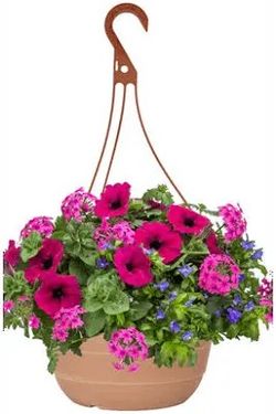 Hanging Flower Baskets