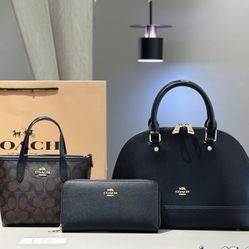 Coach Bag Sets